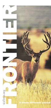 Frontier 004